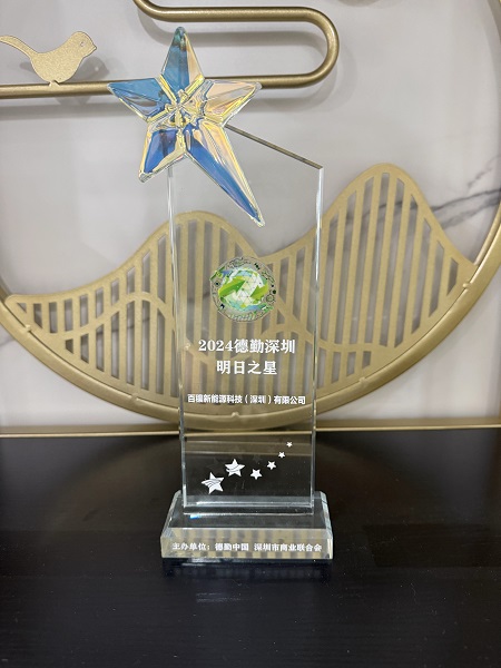 2024德勤之星奖杯